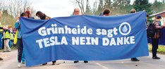 Transparent (Banner): Grünheide sagt TESLA NEIN DANKE