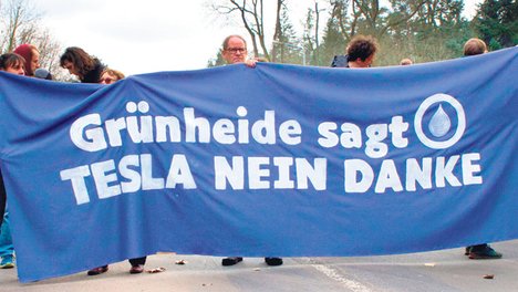 Transparent (Banner): Grünheide sagt TESLA NEIN DANKE